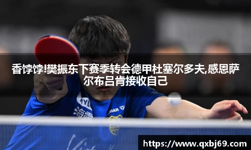 香饽饽!樊振东下赛季转会德甲杜塞尔多夫,感恩萨尔布吕肯接收自己